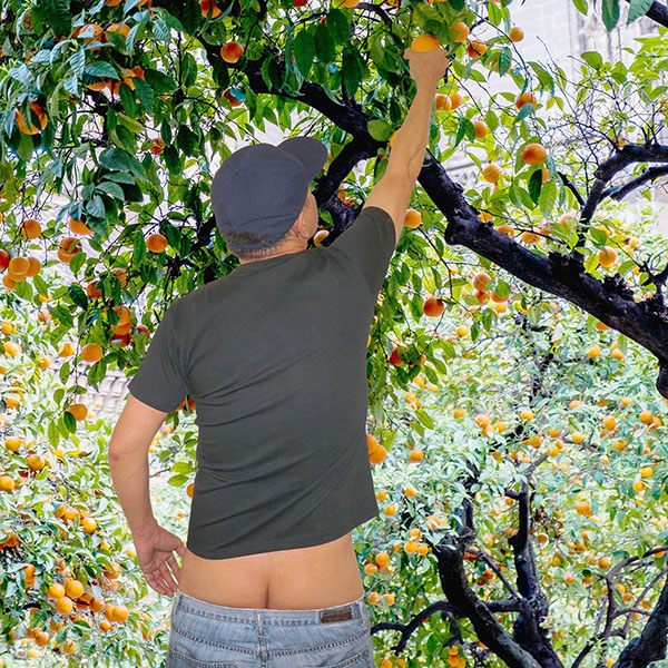 The handyman whose pants are always sagging and his buttcrack is always showing.